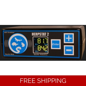 Herpstat 2 SpyderWeb